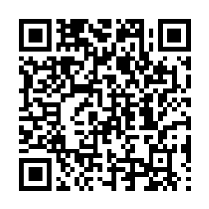 Link naar je actie QRCode - Fondswerving
