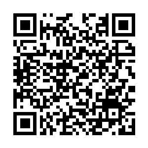 Link naar je actie QRCode - Fondswerving