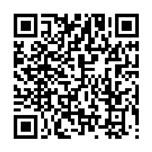 Link naar je actie QRCode - Fondswerving