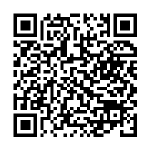 Link naar je actie QRCode - Fondswerving