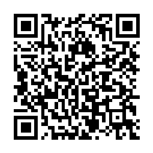 Link naar je actie QRCode - Fondswerving