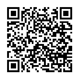 Link naar je actie QRCode - Fondswerving