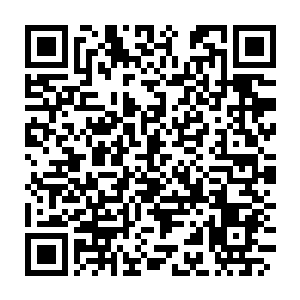 Link naar je actie QRCode - Fondswerving