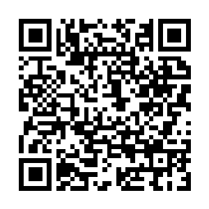 Link naar je actie QRCode - Fondswerving