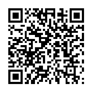 Link naar je actie QRCode - Fondswerving