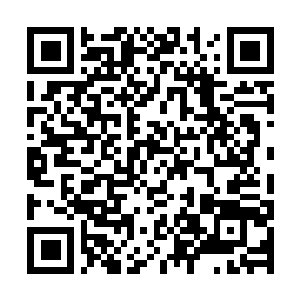 Link naar je actie QRCode - Fondswerving