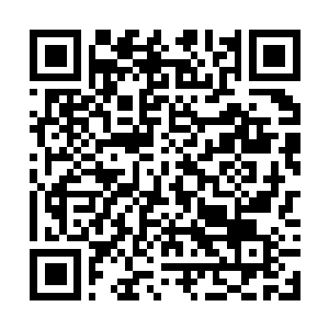 Link naar je actie QRCode - Fondswerving