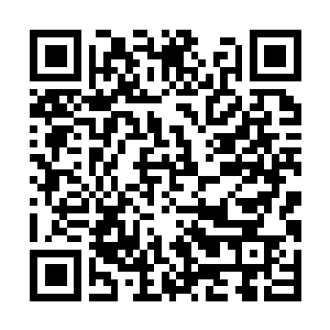 Link naar je actie QRCode - Fondswerving