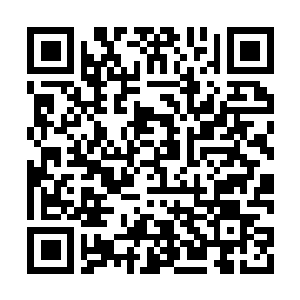 Link naar je actie QRCode - Fondswerving