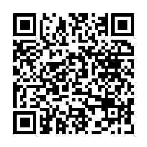 Link naar je actie QRCode - Fondswerving