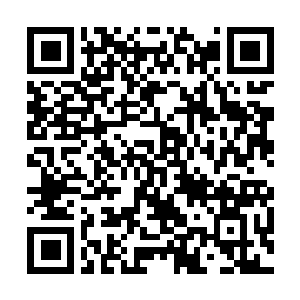 Link naar je actie QRCode - Fondswerving
