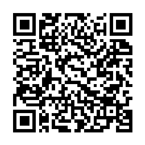Link naar je actie QRCode - Fondswerving