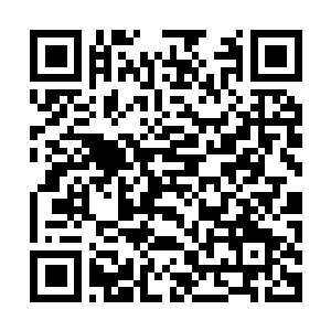 Link naar je actie QRCode - Fondswerving