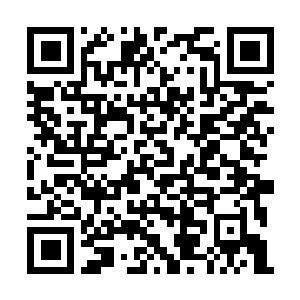 Link naar je actie QRCode - Fondswerving