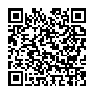 Link naar je actie QRCode - Fondswerving