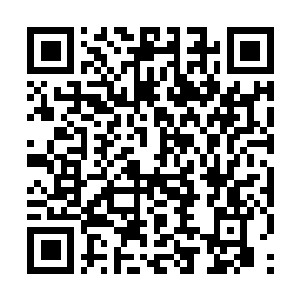 Link naar je actie QRCode - Fondswerving