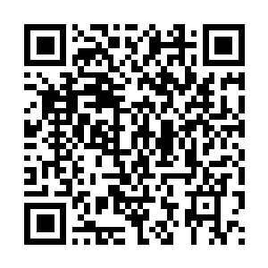 Link naar je actie QRCode - Fondswerving