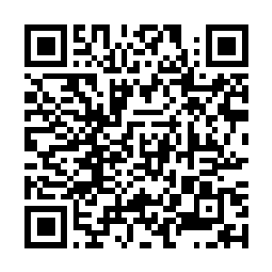 Link naar je actie QRCode - Fondswerving
