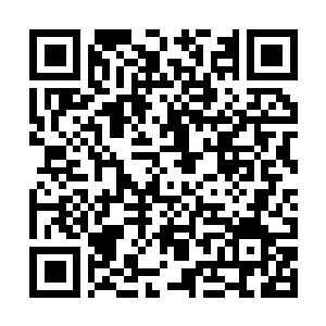 Link naar je actie QRCode - Fondswerving