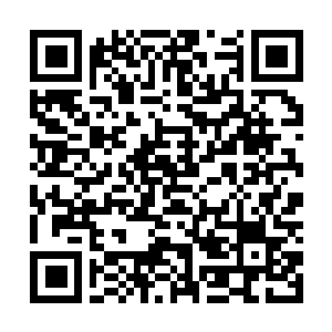 Link naar je actie QRCode - Fondswerving