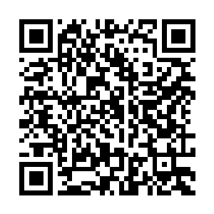 Link naar je actie QRCode - Fondswerving