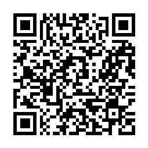 Link naar je actie QRCode - Fondswerving