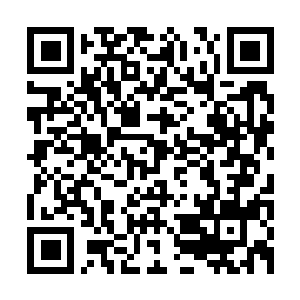 Link naar je actie QRCode - Fondswerving
