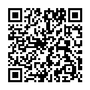 Link naar je actie QRCode - Fondswerving