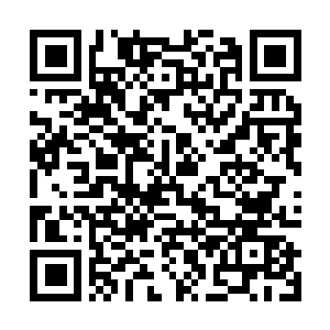 Link naar je actie QRCode - Fondswerving