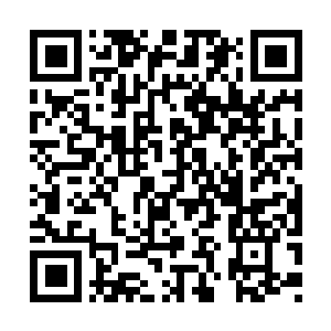 Link naar je actie QRCode - Fondswerving