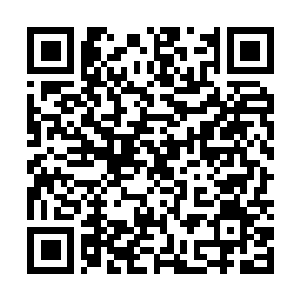 Link naar je actie QRCode - Fondswerving