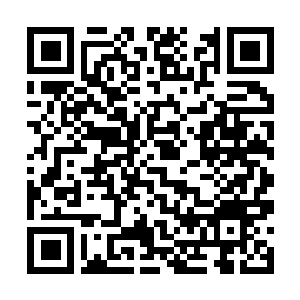 Link naar je actie QRCode - Fondswerving