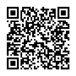 Link naar je actie QRCode - Fondswerving