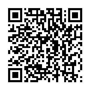 Link naar je actie QRCode - Fondswerving