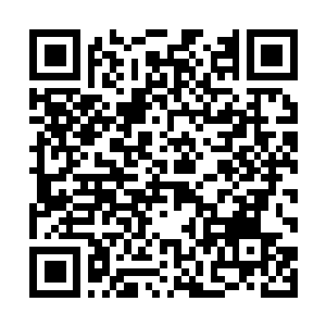 Link naar je actie QRCode - Fondswerving