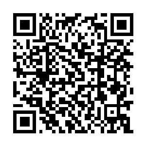 Link naar je actie QRCode - Fondswerving