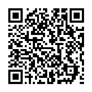 Link naar je actie QRCode - Fondswerving