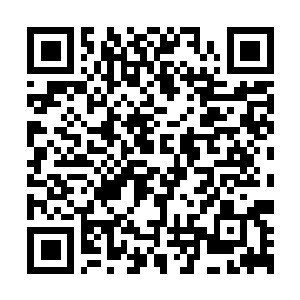 Link naar je actie QRCode - Fondswerving