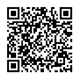 Link naar je actie QRCode - Fondswerving