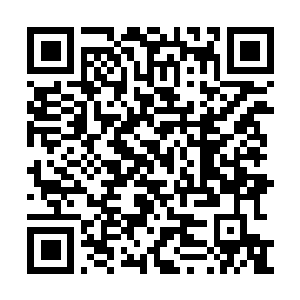 Link naar je actie QRCode - Fondswerving