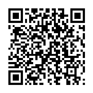 Link naar je actie QRCode - Fondswerving