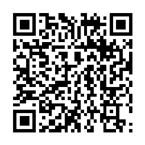 Link naar je actie QRCode - Fondswerving