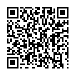Link naar je actie QRCode - Fondswerving