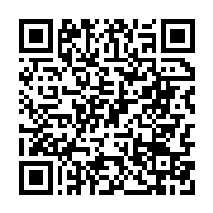 Link naar je actie QRCode - Fondswerving
