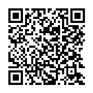 Link naar je actie QRCode - Fondswerving