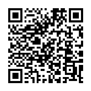 Link naar je actie QRCode - Fondswerving