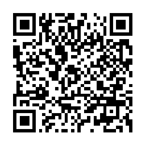 Link naar je actie QRCode - Fondswerving