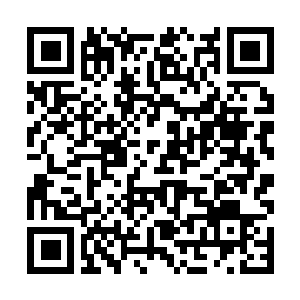 Link naar je actie QRCode - Fondswerving