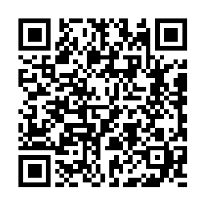 Link naar je actie QRCode - Fondswerving