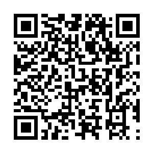 Link naar je actie QRCode - Fondswerving